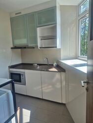 Icon @ Pasir Panjang (D5), Apartment #454250791